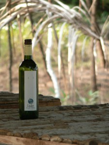 Bottled Water - Linger Style