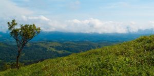 view-from-nishani-betta