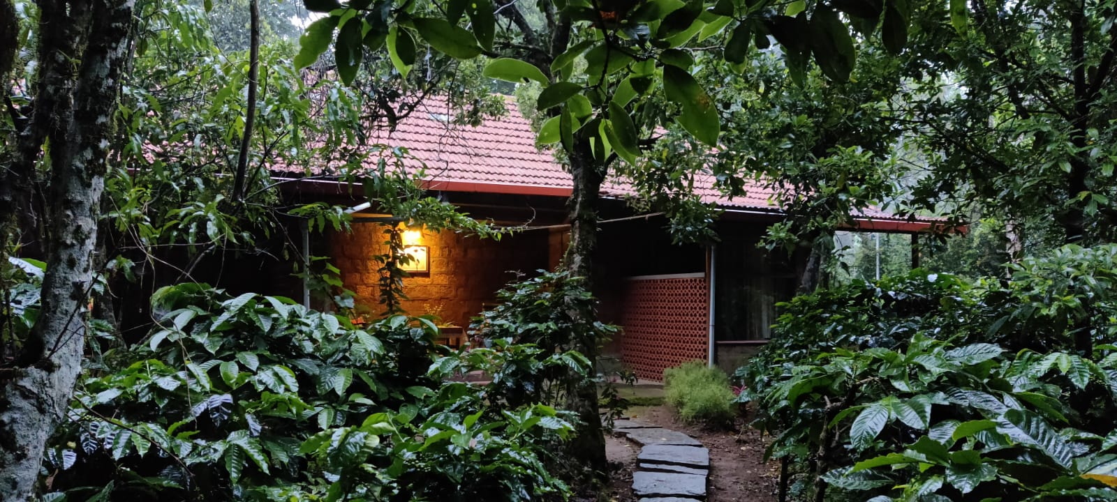 Three Wooded Acres