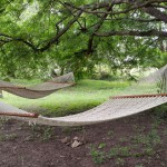 Hammocks3